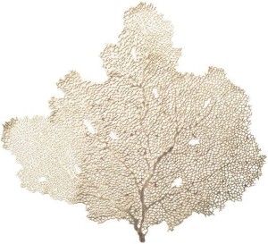 GOUDEN BOOM PLACEMAT 2 stuks