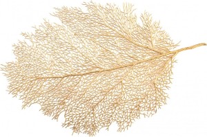 BLADGOUD placemats 2 stuks
