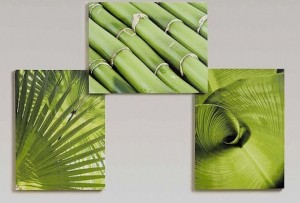 Luxe Wanddecoratie Set – Natuur & Bamboe Design – 3 Delige Canvas Schilderijen – 30 x 40 cm